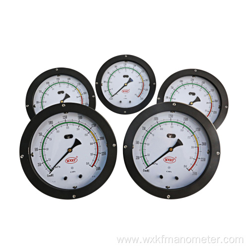 200mm Differential pressure level gauge